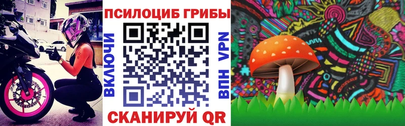 KRAKEN ССЫЛКА  Выкса  Псилоцибиновые грибы мицелий  продажа наркотиков 